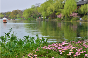 白居易最经典的一首诗，把西湖写到了极致，湖光山色，美不胜收！