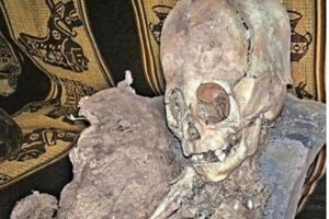 秘鲁发现外星人遗骸？科学家：历史或将重新改写