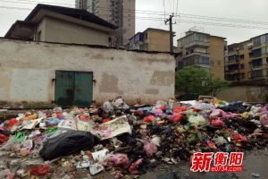 “创卫”曝光台：太难闻了！衡阳珠晖区江东村垃圾堆积成山长达一年