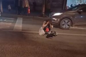爱犬横穿公路被撞后司机逃逸女孩蹲在路中间痛哭