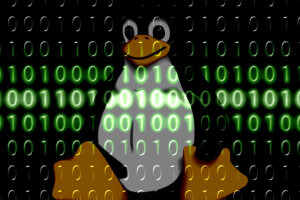 开源软件脱险！Linux硬核回应美实体清单：已开源软件属于全人类，不受制于EAR