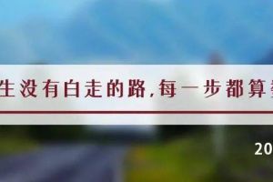 夜读丨“捷径”就是那条最踏实的路