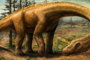 恐龙化石中有“子弹孔”，6500万年前是谁在开枪？灭绝另有原因？