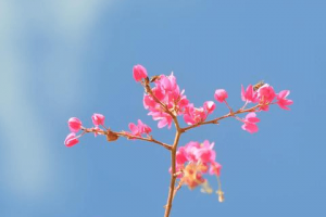 接下来十天，聚财有道，得到贵人垂怜，轻松获得意外之财的三星座