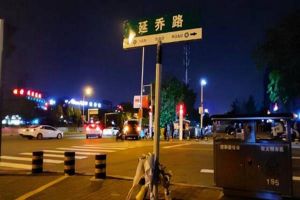 今天的延乔路，延乔路牌下摆满鲜花纪念革命烈士陈延年、陈乔年