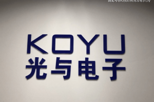 WAYON维安一级代理分销KOYUELEC光与电子只寻OEM/ODM