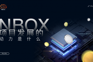 nBox项目发展的动力是什么