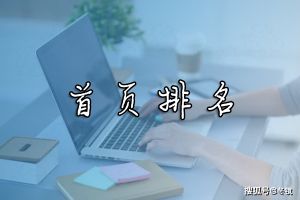 2021年网站移动端首页排名为什么现在越来越难了