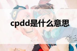 cpdd是什么意思