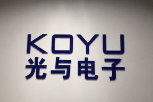 WAYON维安SELFCONTROLFUSE贴片保险丝由授权代理KOYUELEC光与电子提供服务