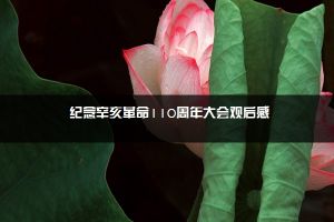 纪念辛亥革命110周年大会观后感