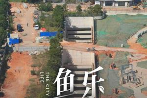 “高林这个奇葩建筑横看竖看都不对劲！没明白想干什么，给外星人住的么？”