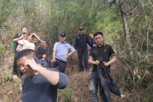 四川北川：八旬老人出门采茶迷路深山，80余人警民找寻5个小时找到
