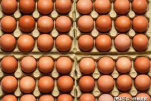 鸡蛋是不是土鸡蛋看四个地方就对了，学会后就能买到营养的土鸡蛋