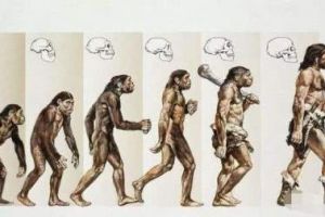 公知进化论