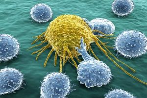 癌细胞是否可以让人永生？癌症其实是保护人类物种完整性