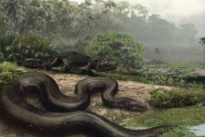 龙的进化七个阶段，蛇为第一阶段/金龙为最后阶段（一步一世界）