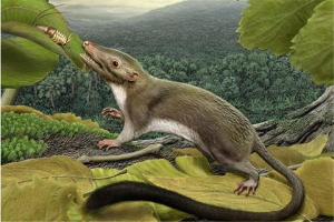 恐龙的祖先是什么动物？盛行于三叠纪早期(槽齿类爬行动物)