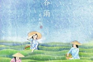 谷雨节气的含义是什么，雨量增多/气温回升（每年4月19-21号）