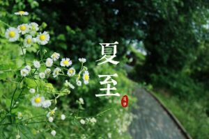 夏至节气的含义是什么，一年白昼最长（每年的6月21日或22日）