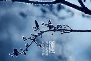 霜降节气的含义是什么，冬天即将开始（每年的10月23-24日）