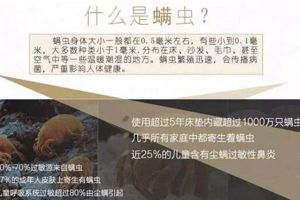 捕螨贴是真有效果吗 杀死螨虫功效很弱属于智商税产品