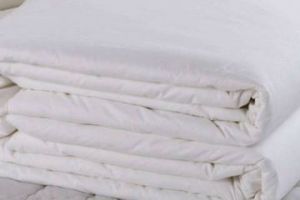 蚕丝棉和纯棉的区别