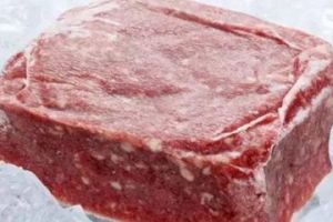 煮熟的肉可以冷冻多久