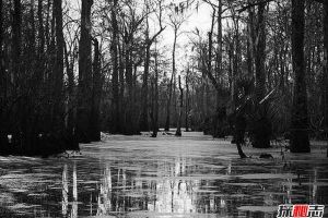 美国曼查克沼泽，被巫毒教女王诅咒的幽灵沼泽