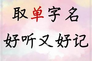 独一无二的单字名字：芷、烟、鸿寓意美（现不能取单字）