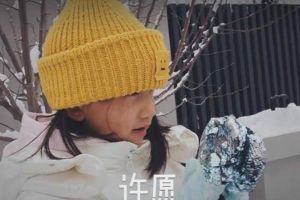 孙莉晒一家四口堆雪人 首次公开儿子正脸