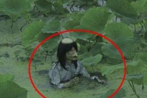 广东水库抓到一只女鬼，其实只是一只脱发的马来熊