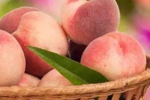 桃子保存保鲜方法