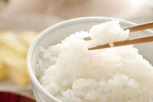 白米饭放冰箱可以放多久