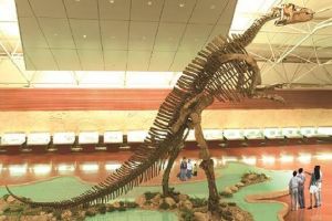 諸城龍：世界最大的鴨嘴龍屬種恐龍（16.6米/中國山東）