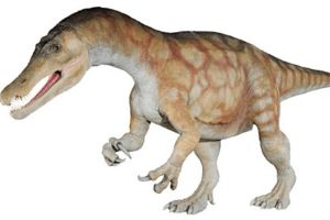 澳洲棘龍:澳洲出土的第一種棘龍科(長9米/疑名恐龍)