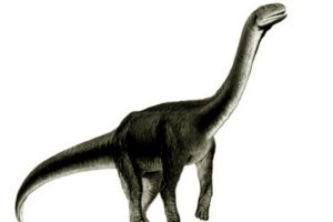 吉普赛龙:法国超巨型恐龙(长12米/缺乏颅骨化石)