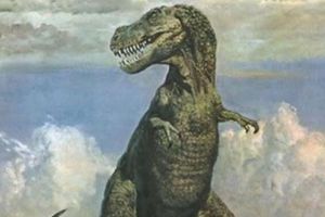 金剛口龍：山東小型食肉恐龍（長2米/距今6500萬年前）