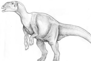 匙龍:大型鴨嘴龍科恐龍(體長7米/僅出土一塊齒骨)