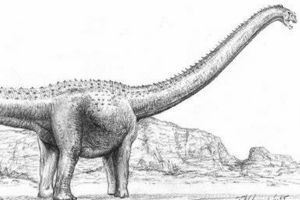 納摩蓋吐龍:蒙古超巨型恐龍(長21米/長有釘狀牙齒)