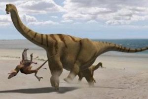 利迈河龙：阿根廷大型食草恐龙（长17米/1.25亿年前）