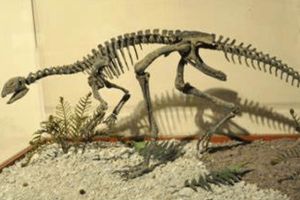 奧斯尼爾龍:美國小型恐龍(長1.4米/僅出土一塊股骨)