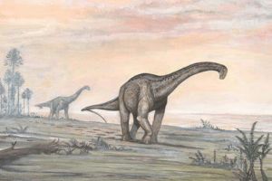 柏利連尼龍:南美超巨型恐龍(長25米/僅發現脊椎骨)