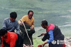 西藏地區起尸是真的嗎 西藏起尸是怎么回事