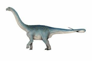 海特蘭龍:亞洲巨型蜥腳類恐龍(僅一節尾椎出土)