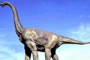 雷尤守龍：阿根廷大型食草恐龍（長7米/距今9900萬年前）