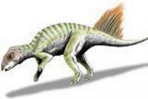 紅山龍：遼寧小型食草恐龍（長2米/距今1.25億年前）