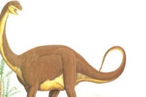 弗克海姆龍：阿根廷巨型恐龍（長10米/距今1.61億年前）