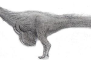 恩霹渥巴龙：非洲小型食草恐龙（长0.8米/距今1.3亿年前）