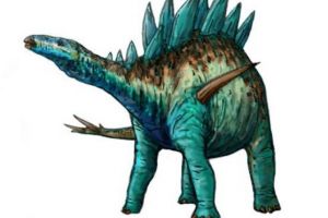 似花君龍：非洲中型食草恐龍（長5米/距今1.45億年前）
